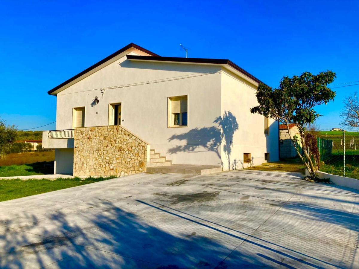 Tenuta Il Sogno *
