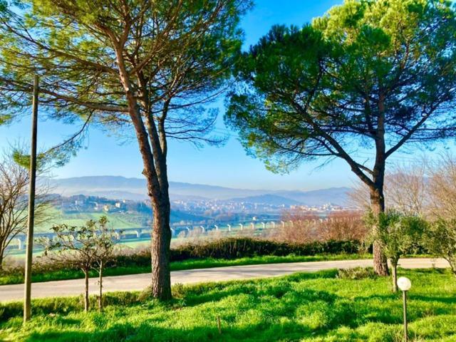Tenuta Il Sogno Séjour à la campagne Bénévent
